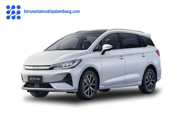 rental byd m6